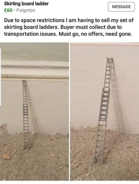ladders.jpg