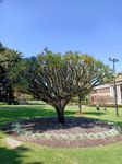 Stirling Gardens Perth